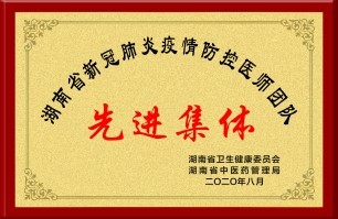 湖南省新冠肺炎疫情防控医师团队先进集体
